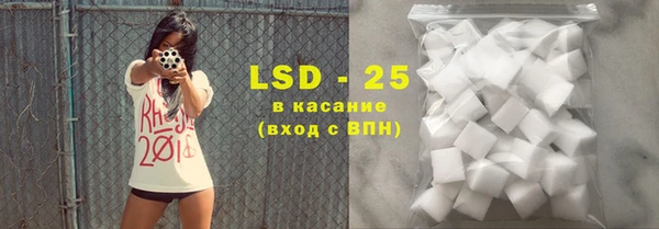 индика Дмитриев
