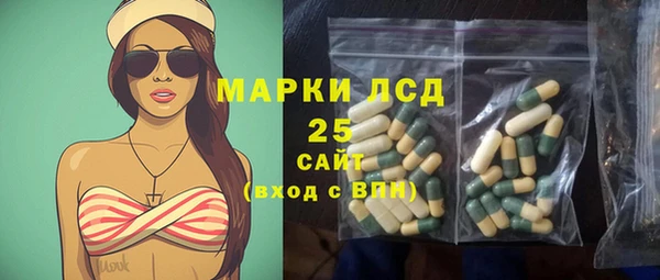 индика Дмитриев