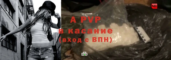 индика Дмитриев