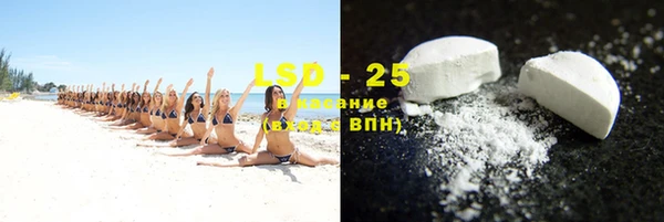 шишки Дмитровск