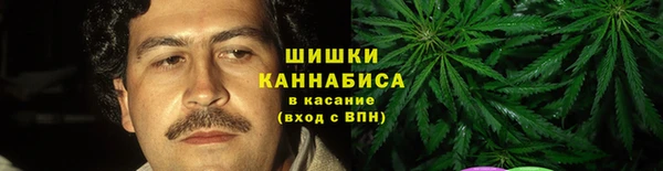 индика Дмитриев