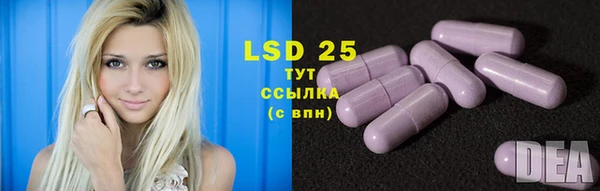 индика Дмитриев