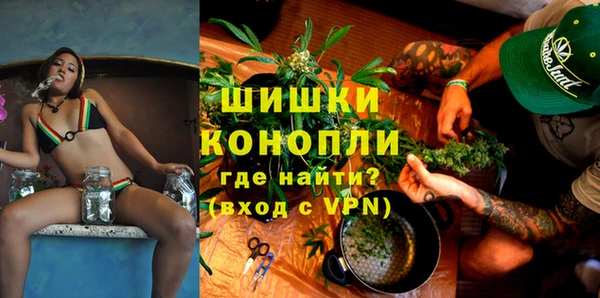 индика Дмитриев