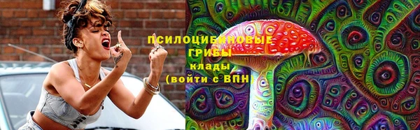 хмурый Гусев