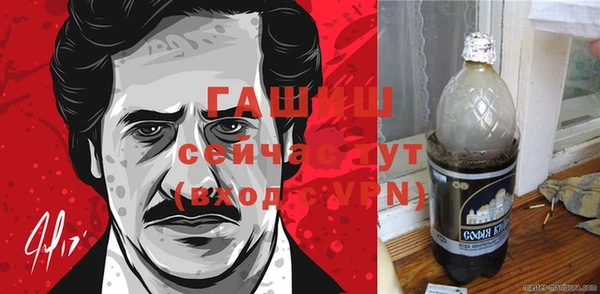 индика Дмитриев