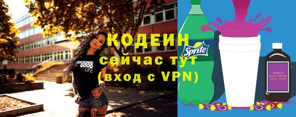 хмурый Гусев