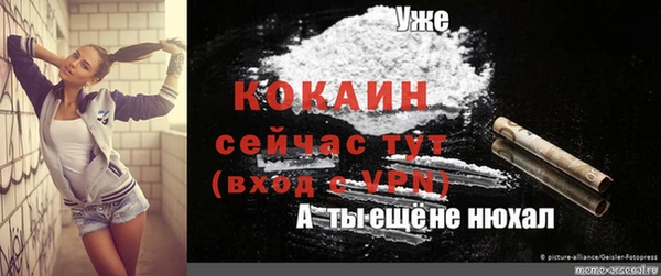 шишки Дмитровск
