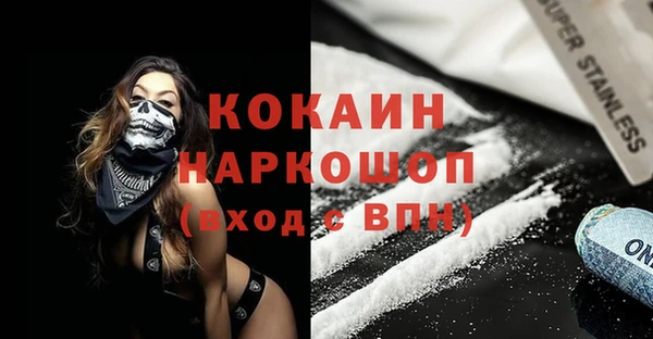 индика Дмитриев